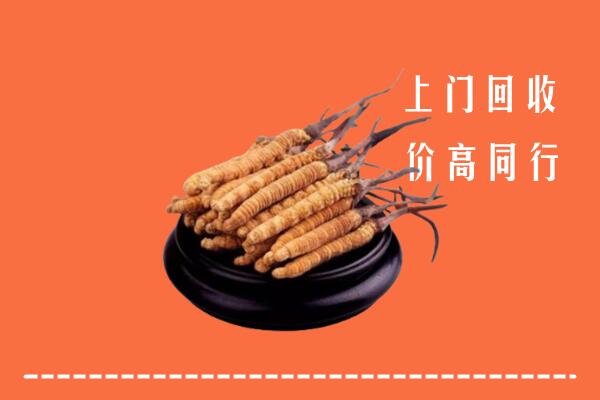 高价求购：铁岭昌图县回收散虫草