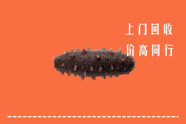 铁岭昌图县回收海参