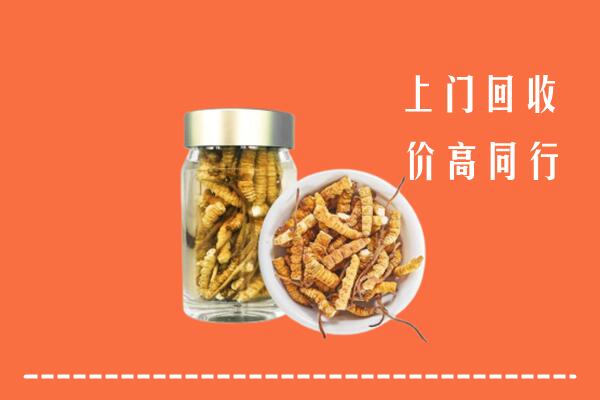 铁岭昌图县回收冬虫夏草